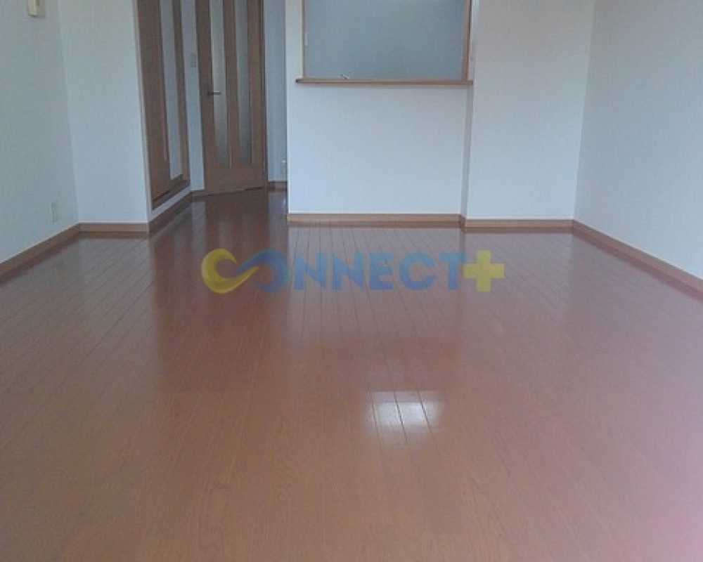 connect-plus-apato-no-japao-ala-ange-203-foto-08