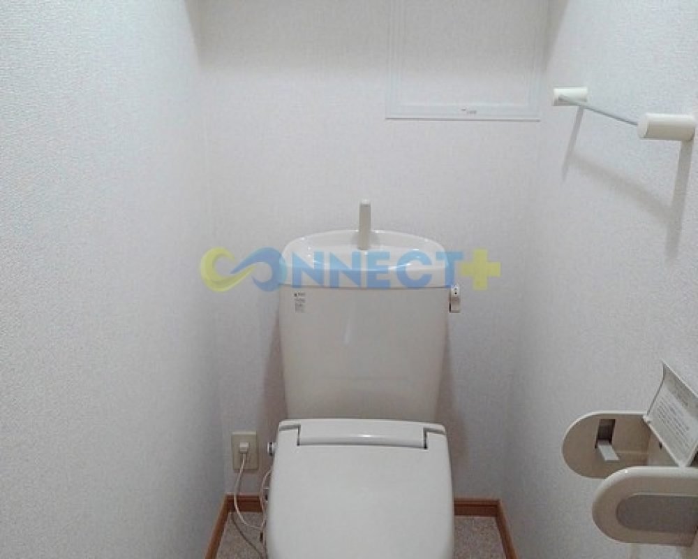 connect-plus-apato-no-japao-ala-ange-203-foto-14