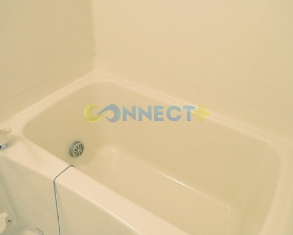 connect-plus-apato-no-japao-anseitre-castle-mansion-b-101-foto-06