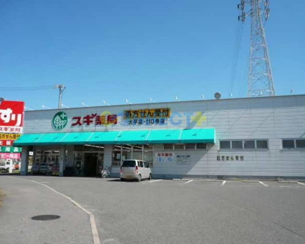 connect-plus-apato-no-japao-apato-10046-foto-21