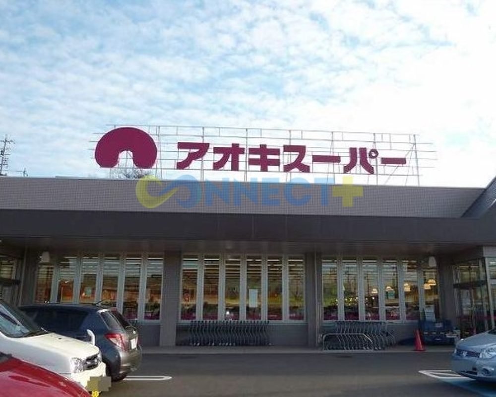 connect-plus-apato-no-japao-chatelaine-aoi-206-foto-26