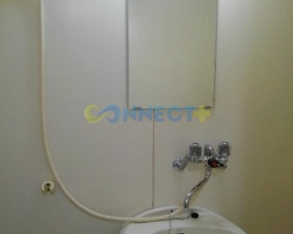 connect-plus-apato-no-japao-eldim-small-sparrow-b-101-foto-02