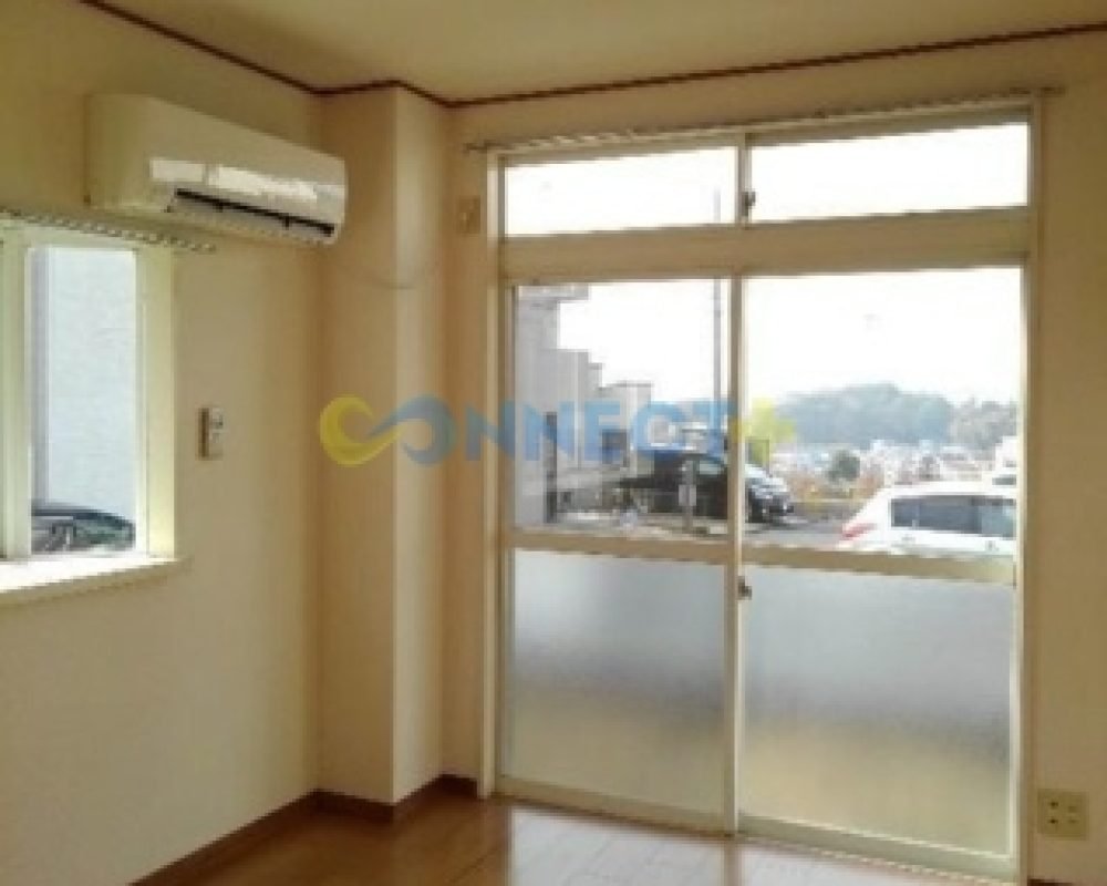 connect-plus-apato-no-japao-eldim-small-sparrow-b-101-foto-07