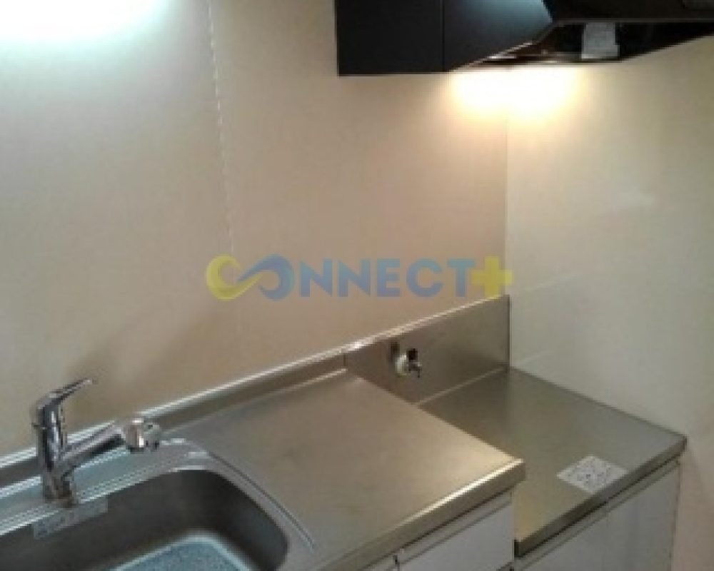 connect-plus-apato-no-japao-eldim-small-sparrow-b-101-foto-09