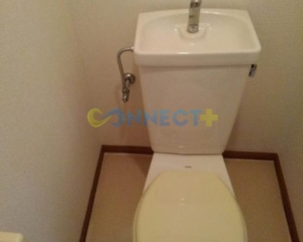 connect-plus-apato-no-japao-eldim-small-sparrow-b-101-foto-10