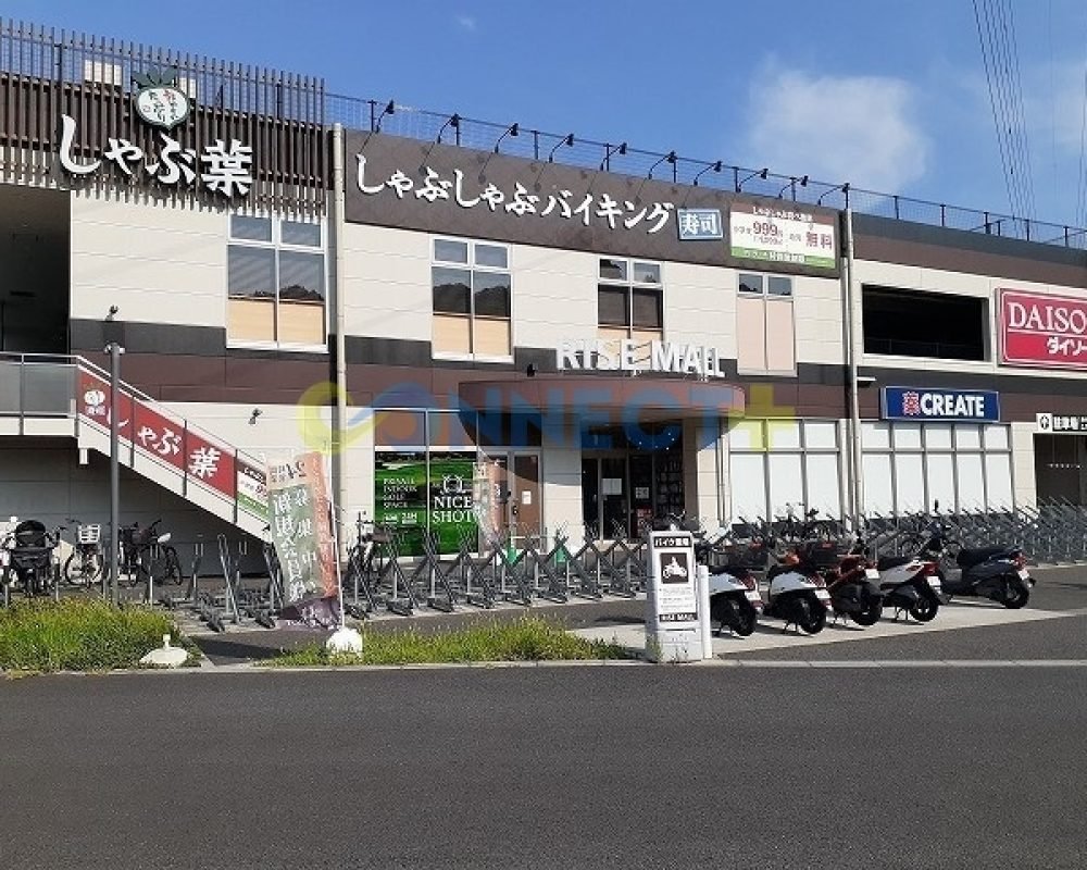 connect-plus-apato-no-japao-eldim-small-sparrow-b-101-foto-13