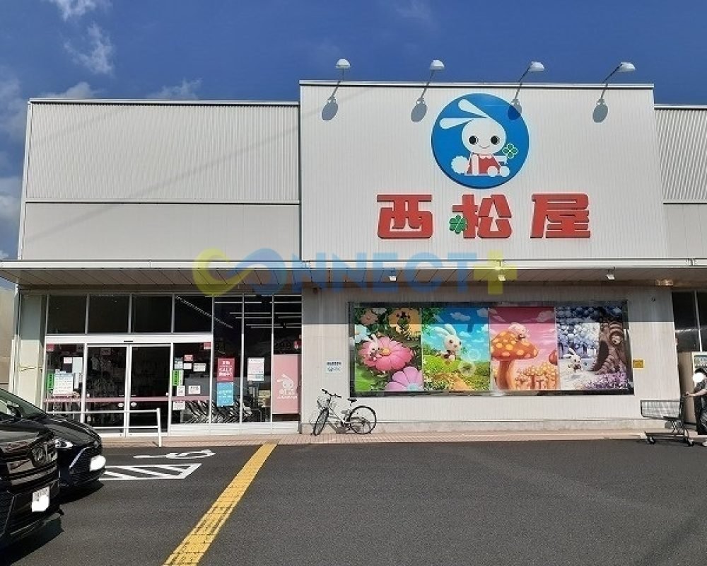 connect-plus-apato-no-japao-eldim-small-sparrow-b-101-foto-14