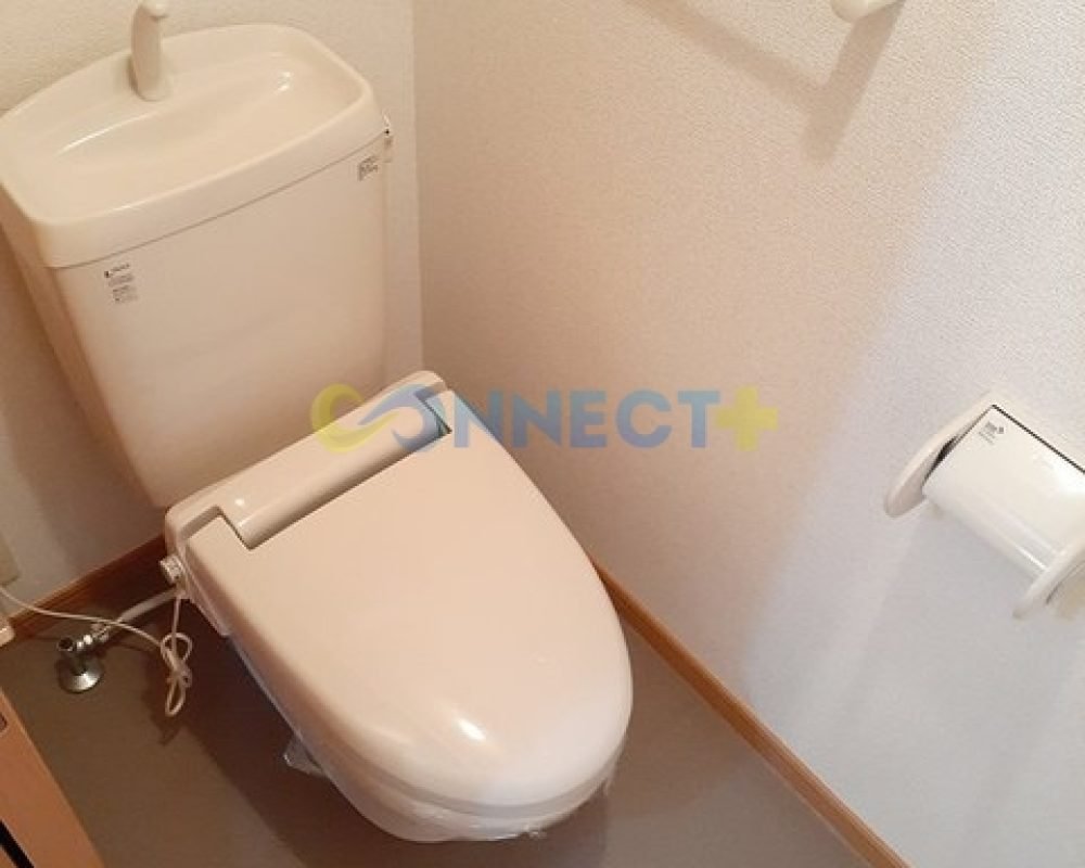 connect-plus-apato-no-japao-k-elegance-b-202-foto-10