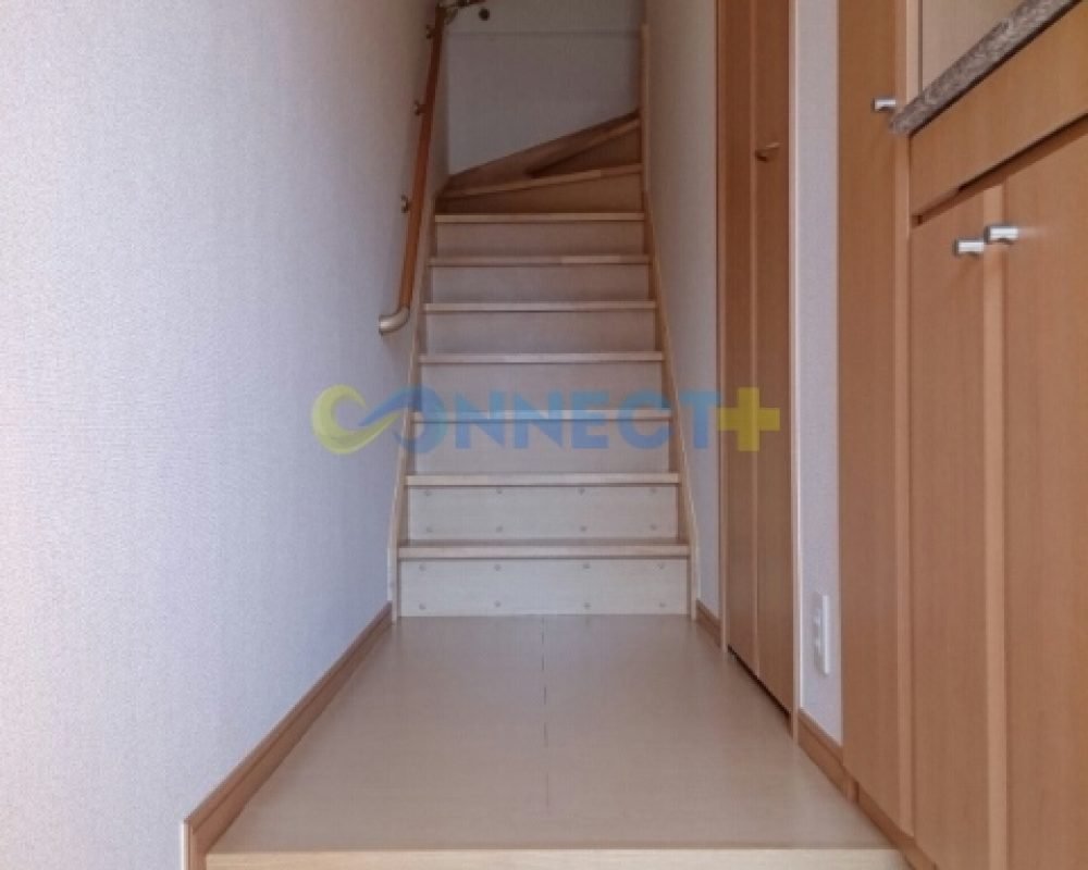 connect-plus-apato-no-japao-k-elegance-b-202-foto-17