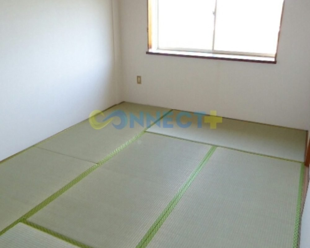 connect-plus-apato-no-japao-kopo-amigo-106-foto-03