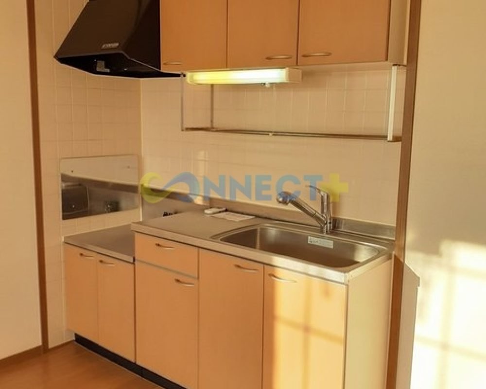 connect-plus-apato-no-japao-maison-sky-mom-c-202-foto-13