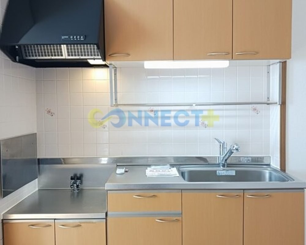 connect-plus-apato-no-japao-north-elegance-hagioka-201-foto-13