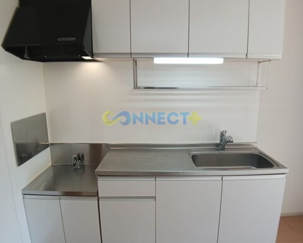 connect-plus-apato-no-japao-sonreir-s-101-foto-05