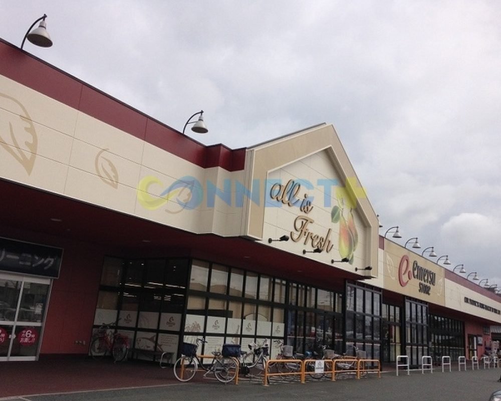 connect-plus-apato-no-japao-yamasema-rich-201-foto-19
